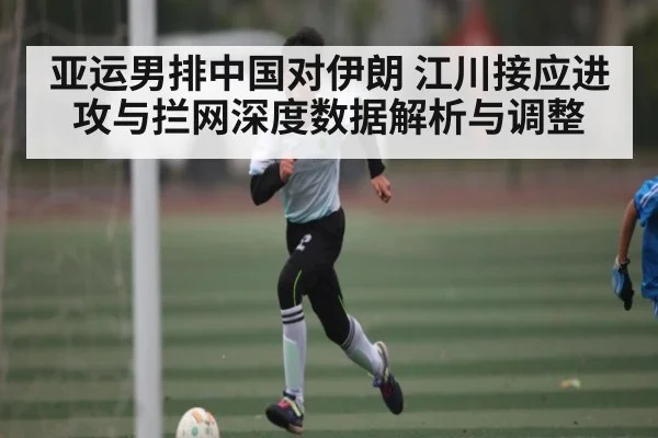 亚运男排中国对伊朗 江川接应进攻与拦网深度数据解析与调整