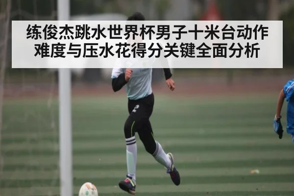 练俊杰跳水世界杯男子十米台动作难度与压水花得分关键全面分析